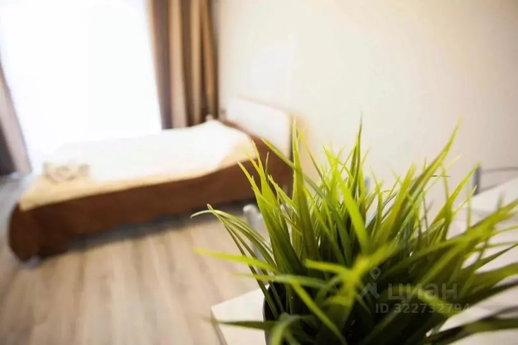 1-к кв. Тюменская область, Тюмень ул. Дмитрия Менделеева, 2к1 (32.0 м) - Фото 1