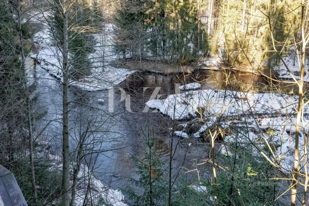 Участок в Ленинградская область, Выборгский район, Первомайское с/пос, ... - Фото 2