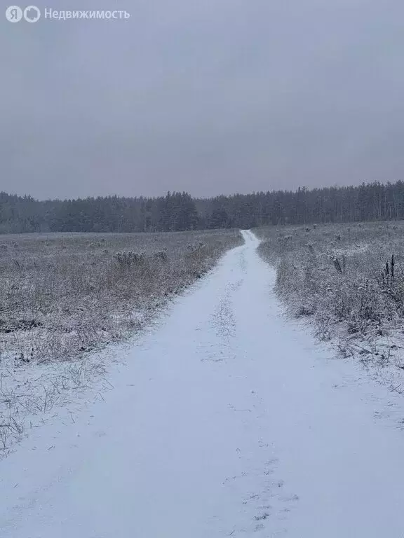 Участок в Нижегородская область, Балахнинский муниципальный округ, ... - Фото 1