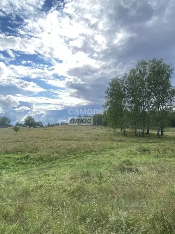 Участок в Челябинская область, Миасский городской округ, пос. Верхний ... - Фото 1