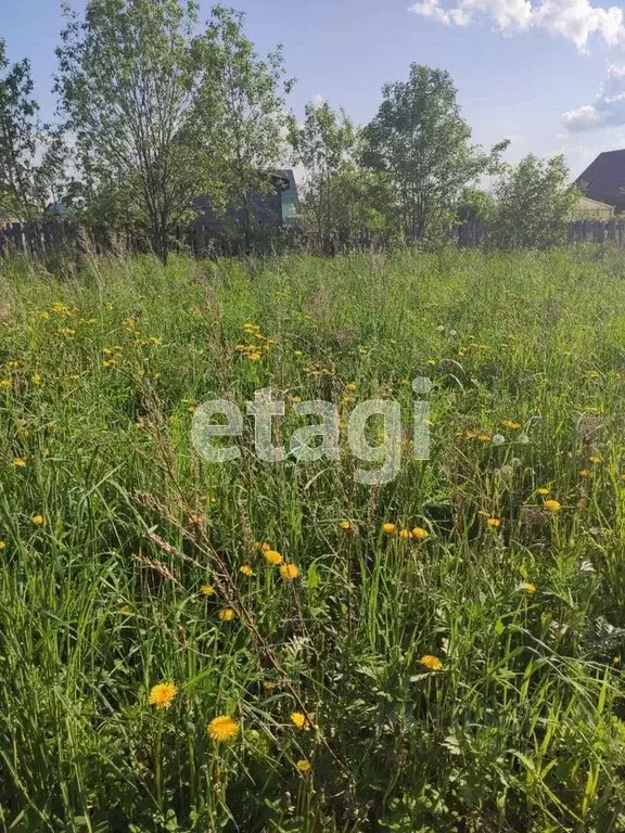 Участок в Вологодская область, пос. Сосновка ул. Западная (11.0 сот.) - Фото 1