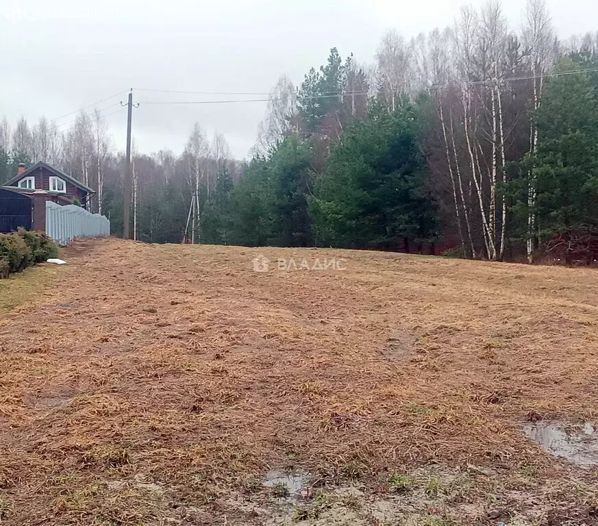 Участок в село Чамерево, Судогодская улица, 2 (9.09 м) - Фото 2