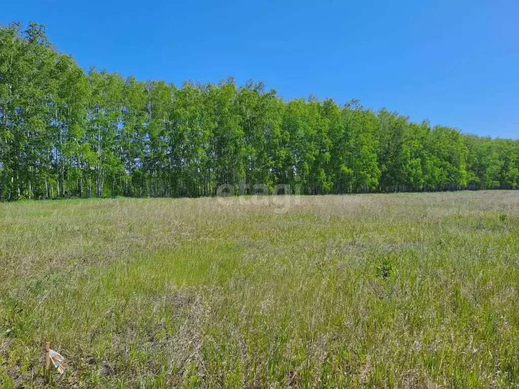 участок в омская область, омский район, с. усть-заостровка ул. 2-я . - Фото 0