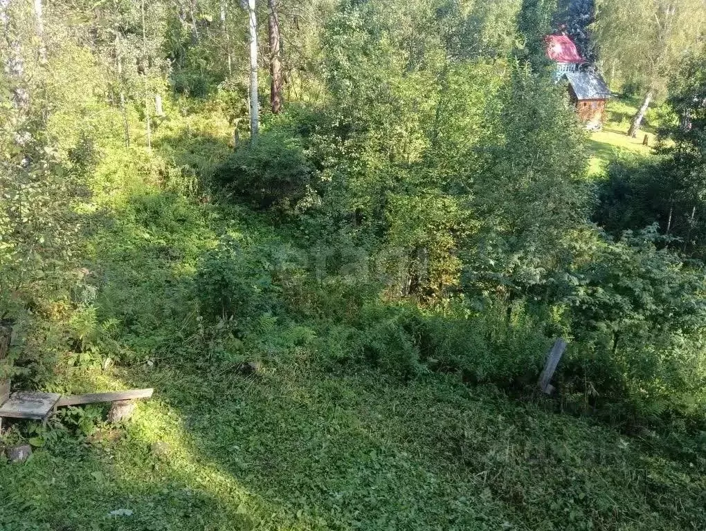 Дом в Кемеровская область, Новокузнецкий муниципальный округ, Родник ... - Фото 1