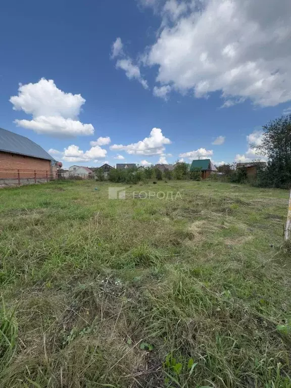 Участок в Новосибирская область, Новосибирский район, Мичуринский ... - Фото 1