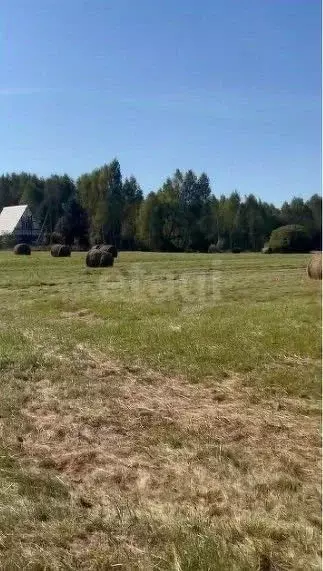 Участок в Ярославская область, Рыбинский муниципальный округ, д. ... - Фото 1