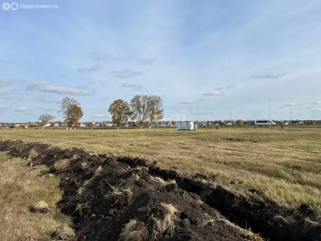 Участок в Белгородский район, Новосадовское сельское поселение, ... - Фото 2