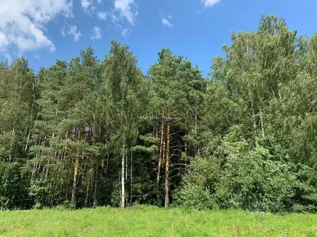 Участок в Московская область, Одинцовский городской округ, д. ... - Фото 2