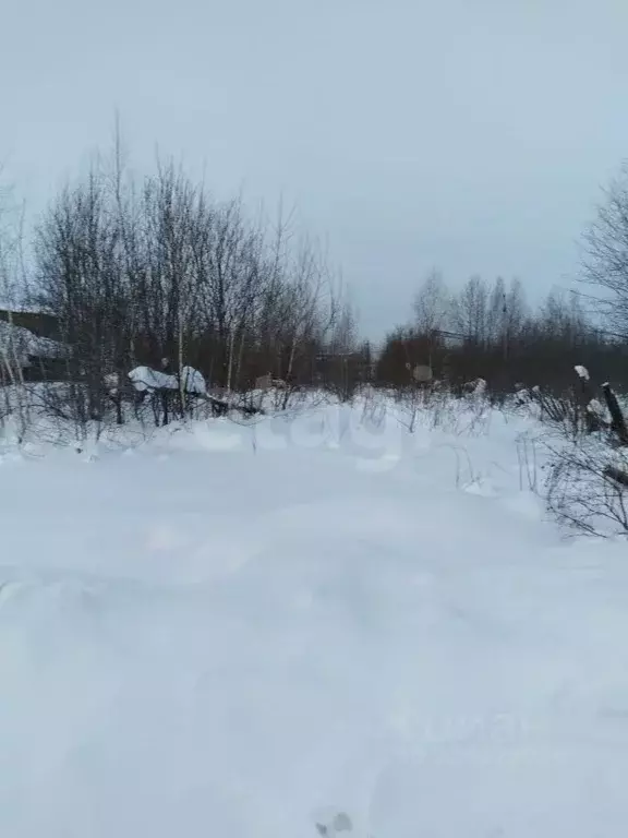 Участок в Свердловская область, Кушва Весенняя ул. (9.23 сот.) - Фото 2