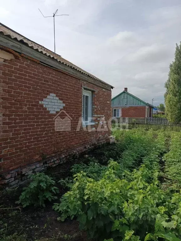 Дом в Омская область, Омский район, Морозовское с/пос, д. Ракитинка ... - Фото 1