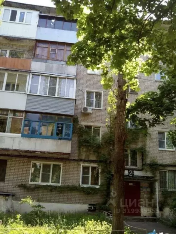 1-к кв. Воронежская область, Воронеж Южно-Моравская ул., 56 (31.0 м) - Фото 0