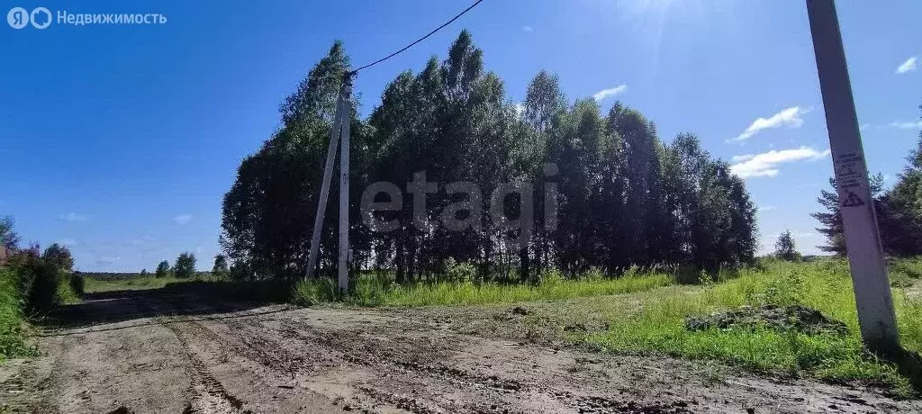 Участок в Нижнетавдинский район, садоводческое некоммерческое ... - Фото 1