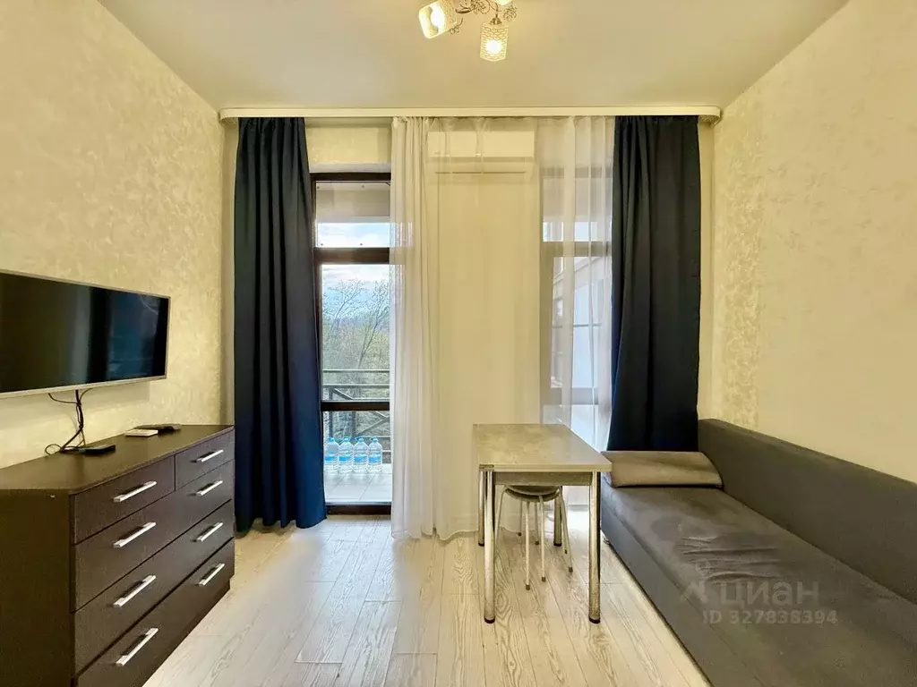 2-к кв. Краснодарский край, Сочи Агро СНТ, 193/1 (30.0 м) - Фото 2