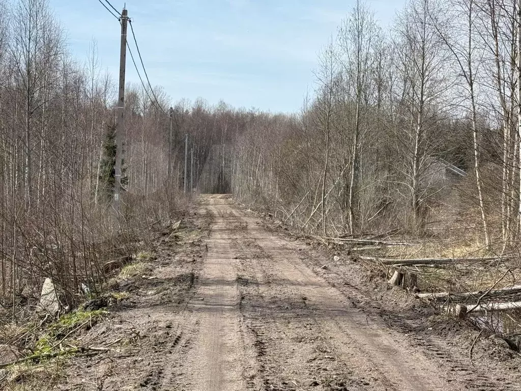Участок 1,19 га (ИЖС) - Фото 1