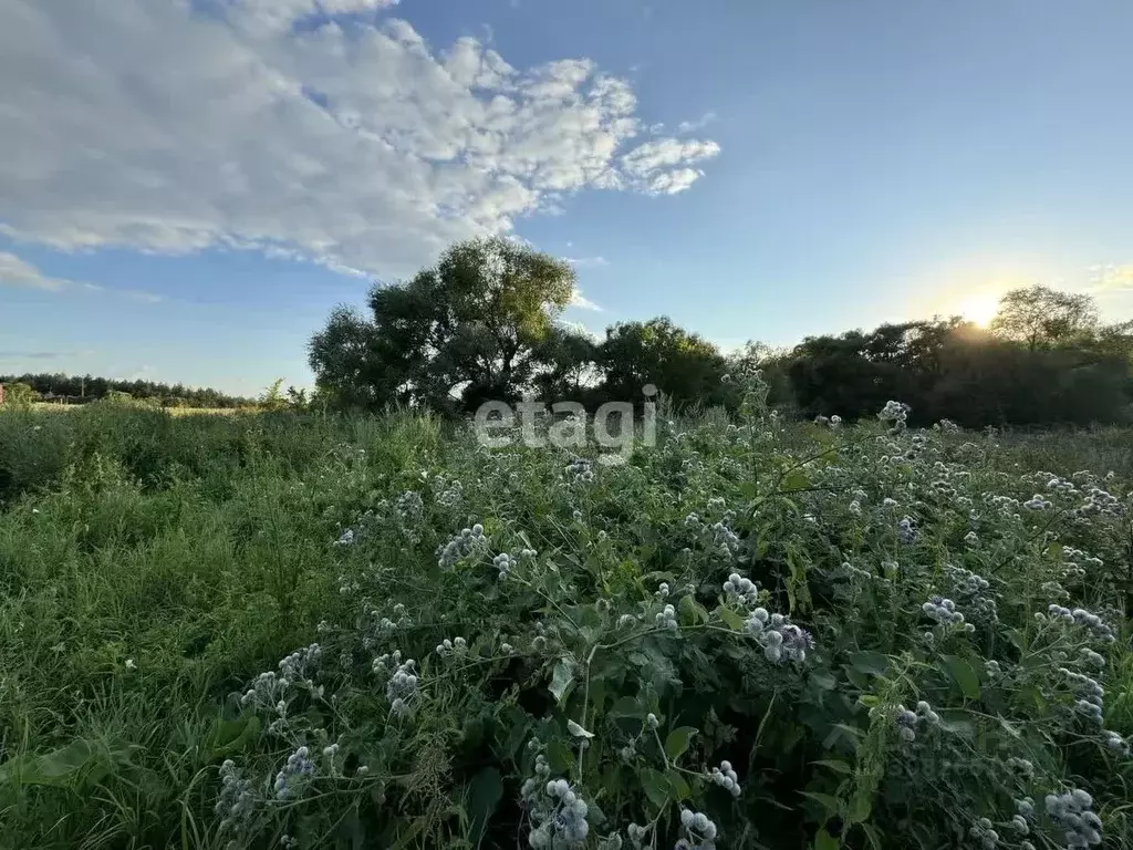 Участок в Белгородская область, Старооскольский городской округ, с. ... - Фото 0