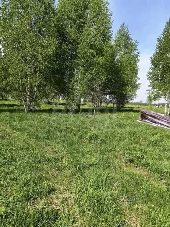 Участок в Кемеровская область, Прокопьевск  (14.8 сот.) - Фото 1