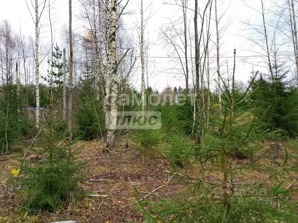 Участок в Московская область, Солнечногорск городской округ, Костино ... - Фото 2