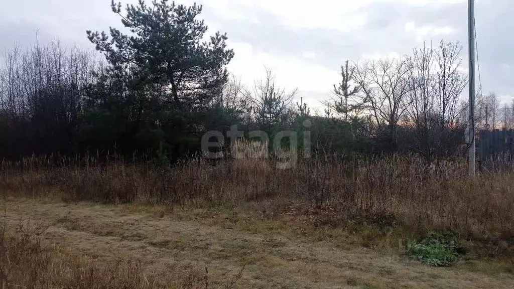 Участок в Ярославская область, Ярославль № 6 Резинотехника СНТ, 320 ... - Фото 2