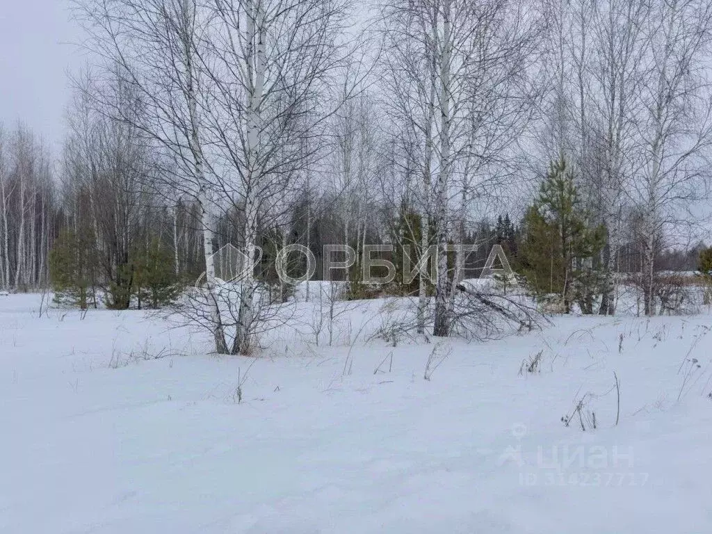 Участок в Тюменская область, Нижнетавдинский район, Сочинские СНТ 11-я ... - Фото 1