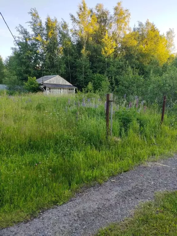 Участок в Московская область, Сергиево-Посадский городской округ, ... - Фото 2