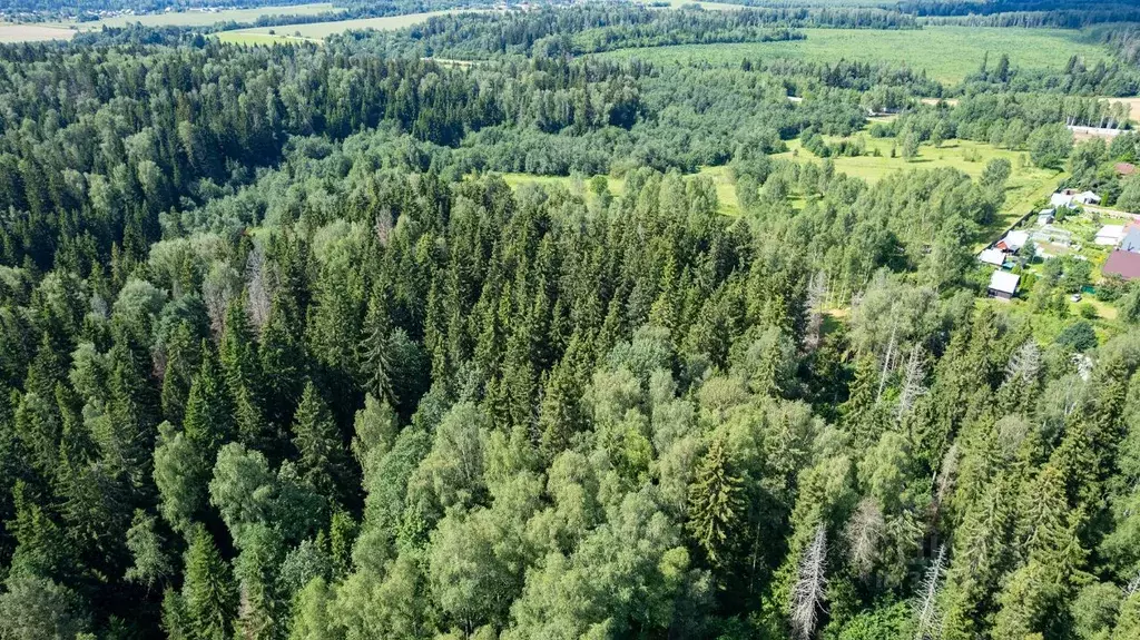 Участок в Московская область, Одинцовский городской округ, д. ... - Фото 1