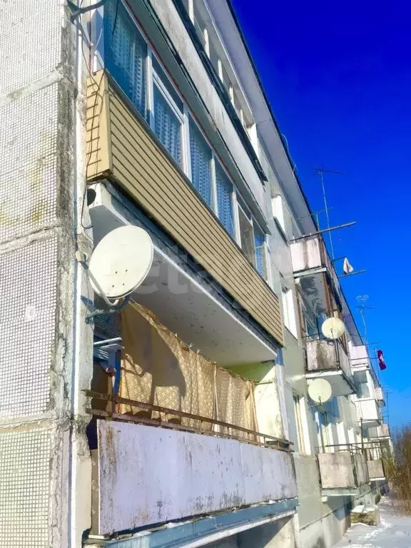 3-к кв. Псковская область, Островская волость, д. Городище ул. ... - Фото 1