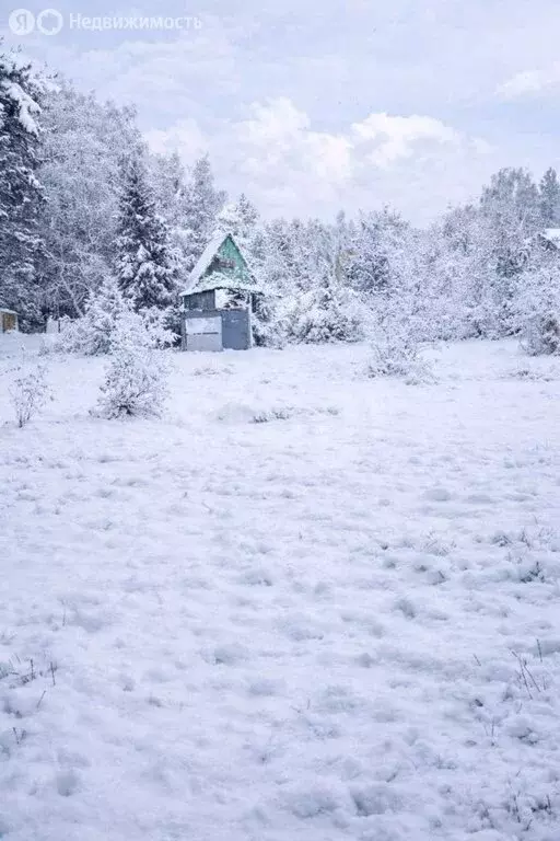 Участок в Владимирская область, Ковровский муниципальный округ, СОНТ ... - Фото 2