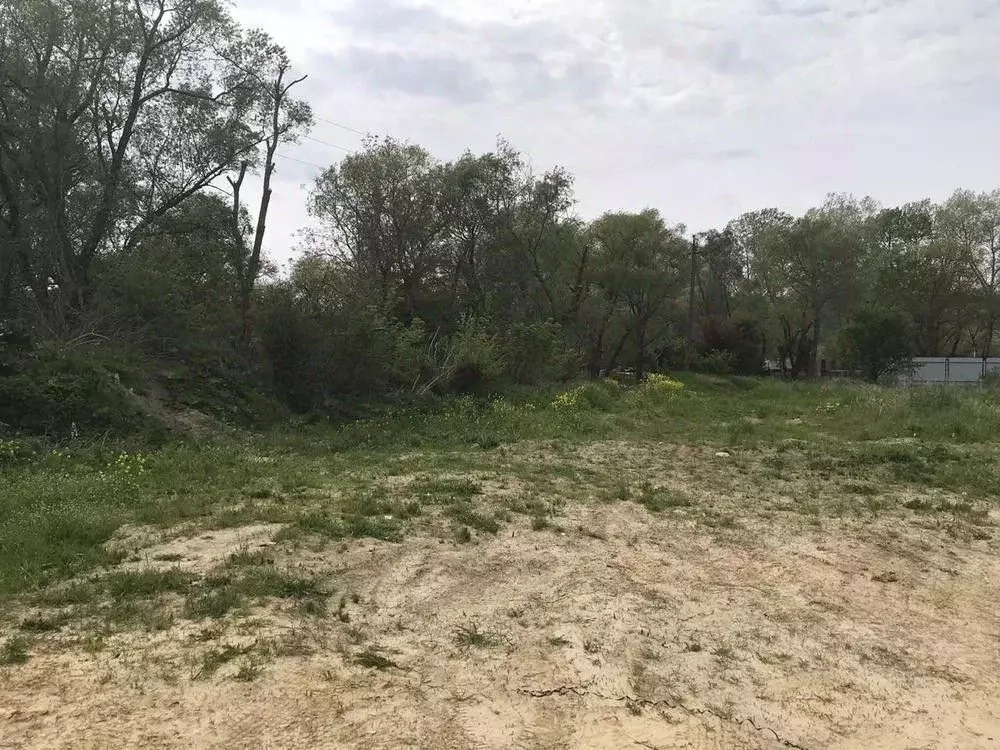 Участок в Краснодарский край, Анапа муниципальный округ, с. Сукко ул. ... - Фото 2