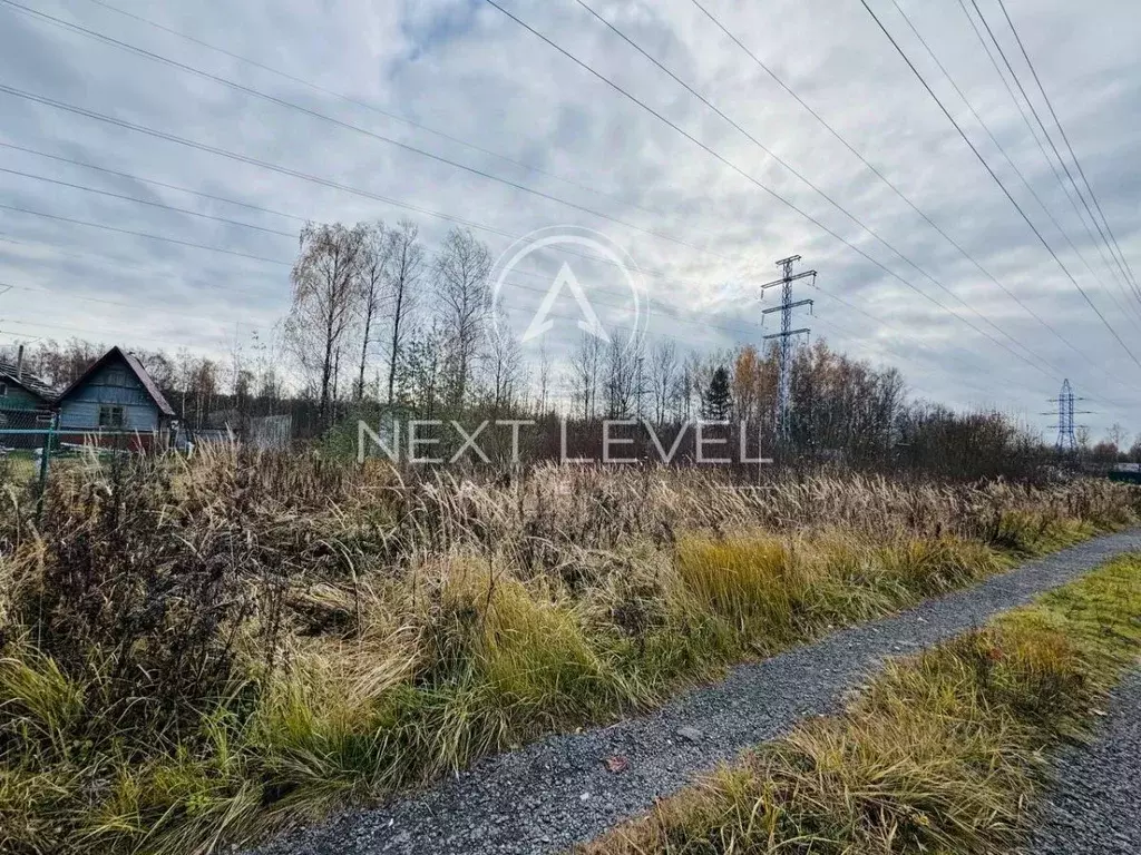 Участок в Московская область, Богородский городской округ, Импульс СНТ ... - Фото 2