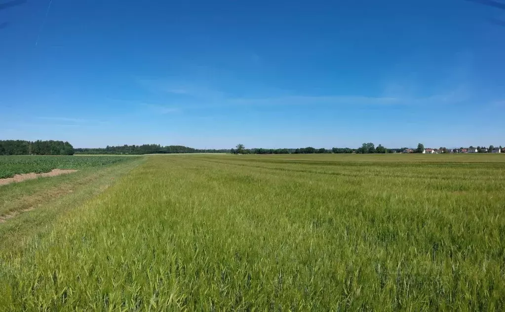 Участок в Красноярский край, Емельяновский район, Никольский ... - Фото 1