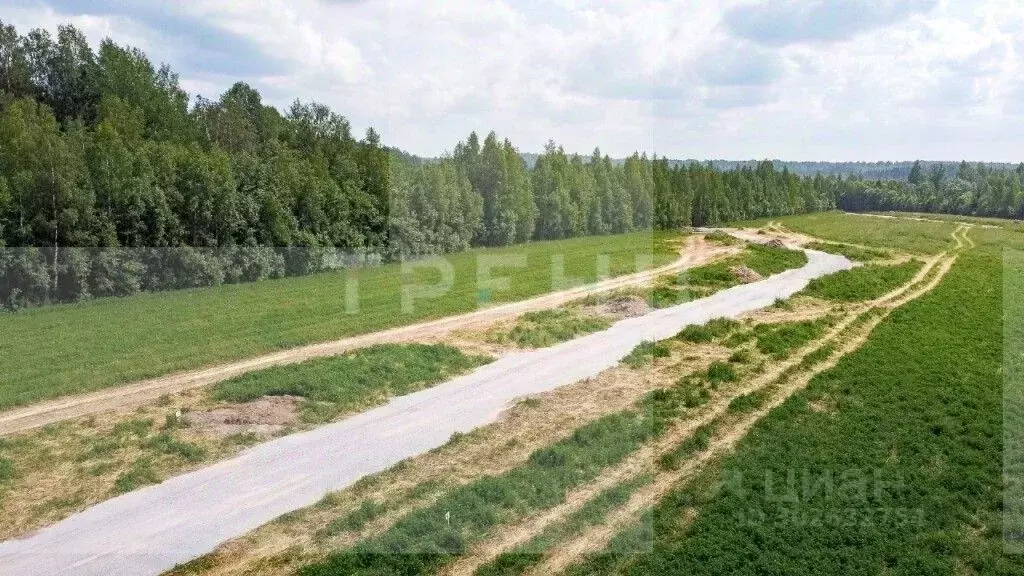 Участок в Ленинградская область, Выборгский район, Советское городское ... - Фото 1