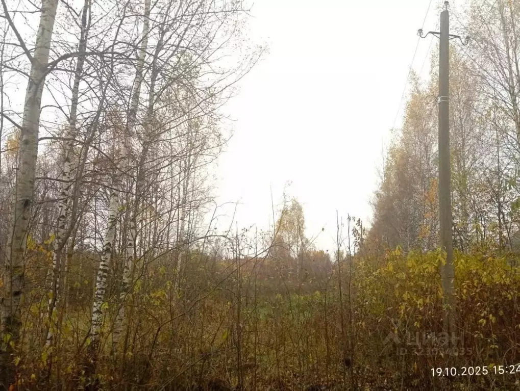 Участок в Тверская область, Конаковский муниципальный округ, Деревня ... - Фото 1