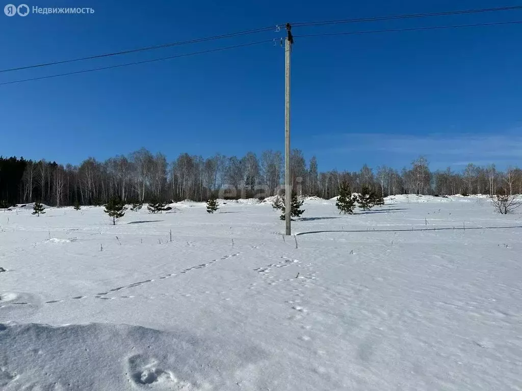 Участок в Сосновский район, село Кременкуль (5.5 м) - Фото 1