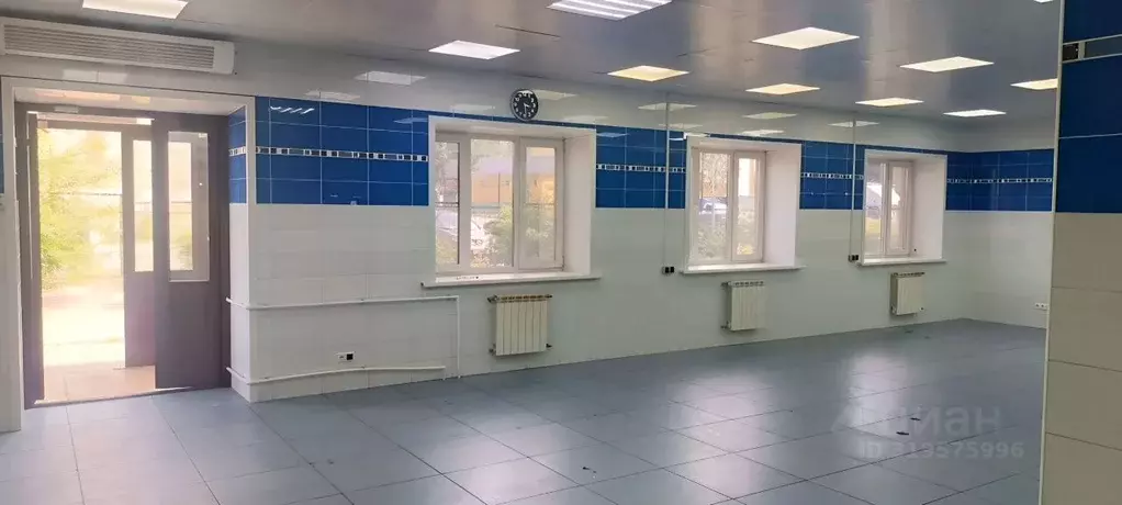 Помещение свободного назначения в Новосибирская область, Новосибирск ... - Фото 1