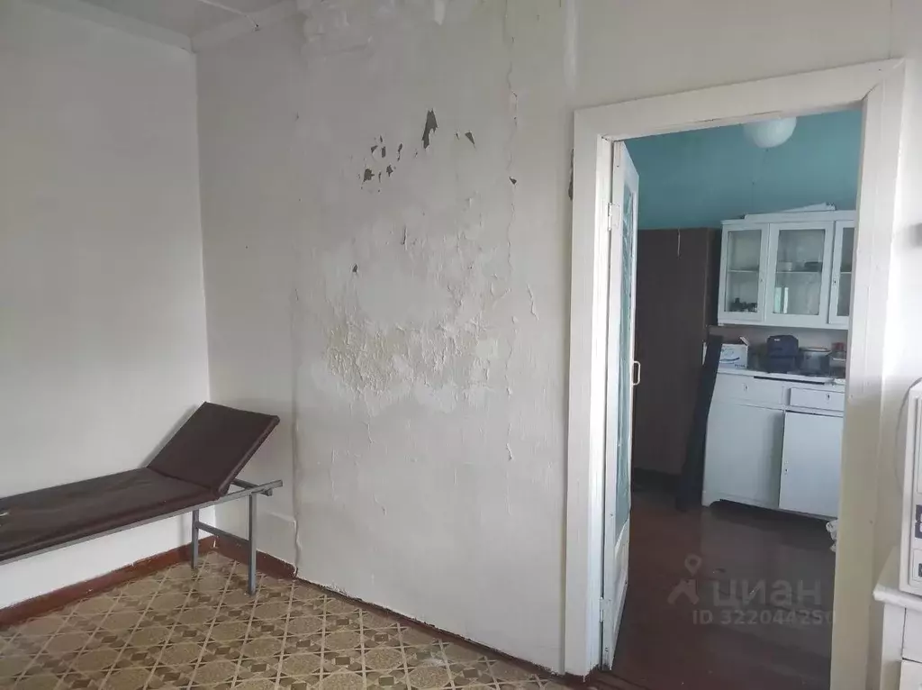 Помещение свободного назначения в Курганская область, Каргапольский ... - Фото 1