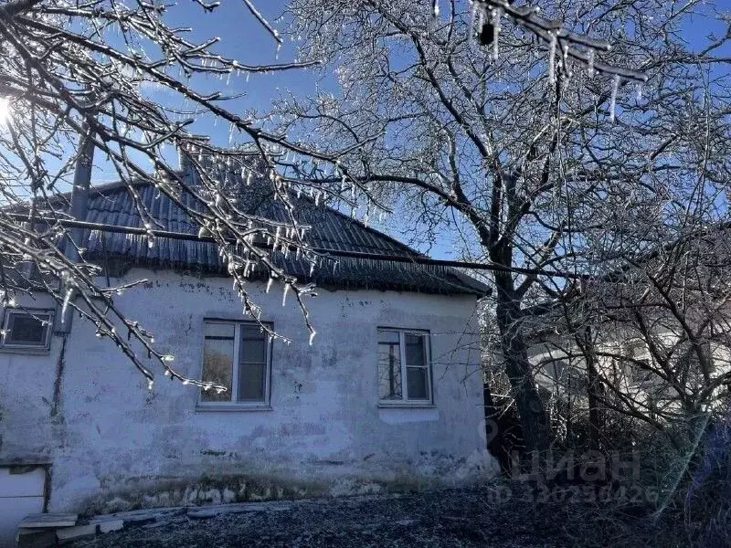 Дом в Краснодарский край, Темрюк ул. Мойка, 14 (90 м) - Фото 2