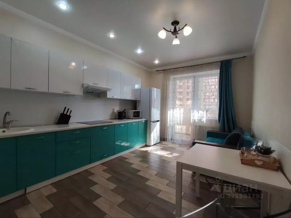 1-к кв. Краснодарский край, Краснодар Центральный мкр, ул. ... - Фото 1