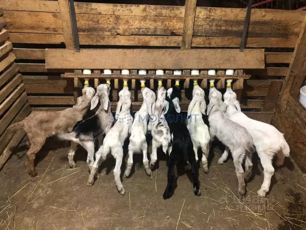 Помещение свободного назначения в Нижегородская область, Нижний ... - Фото 1