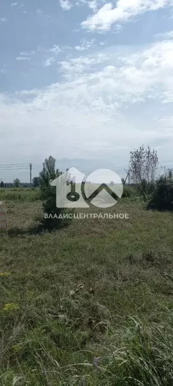 Участок в Новосибирская область, Коченевский район, Дружба-2 СНТ ул. ... - Фото 0