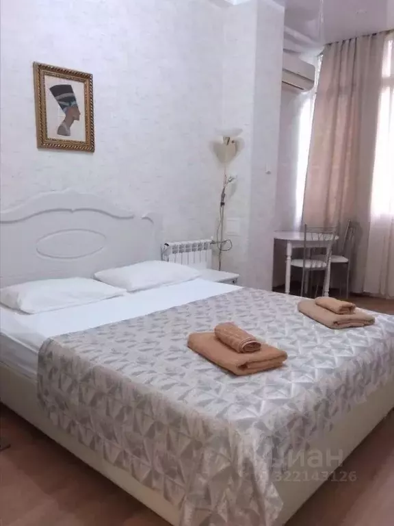 1-к кв. Краснодарский край, Сочи Курортный просп., 75к1 (22.0 м) - Фото 2