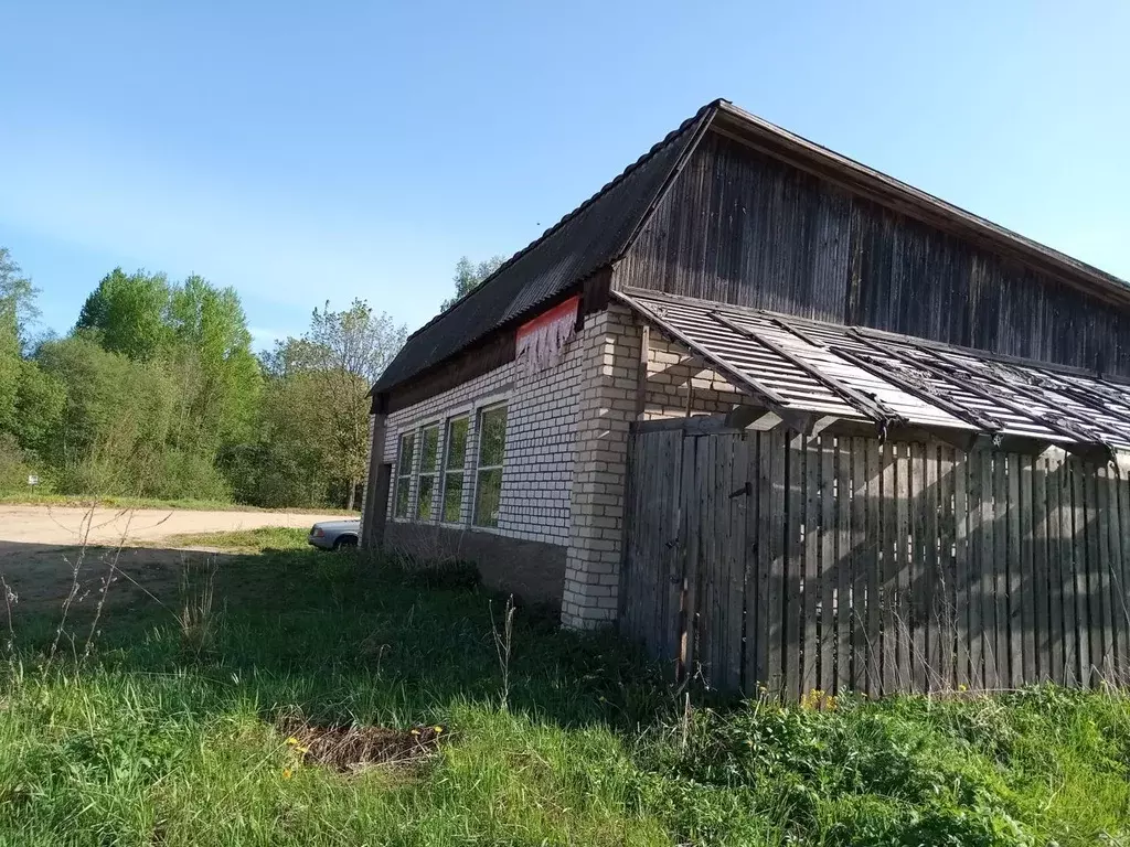 Торговая площадь в Тверская область, Пеновский муниципальный округ, д. ... - Фото 1