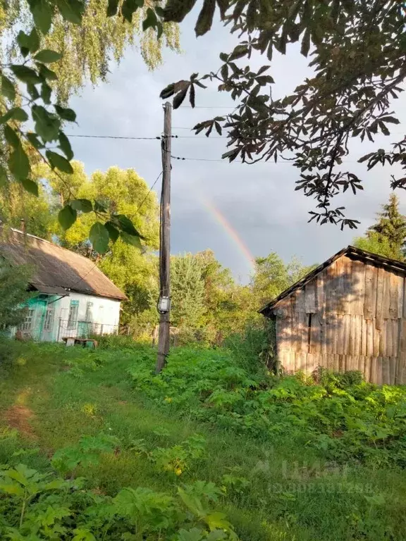Участок в Тульская область, Чернский район, Тургеневское муниципальное ... - Фото 1