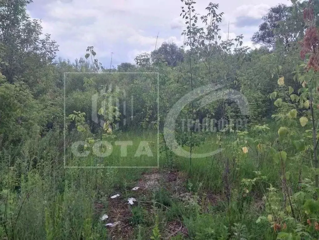 Участок в Воронежская область, Рамонь рп ул. Победы, 13Б/3 (8.0 сот.) - Фото 2