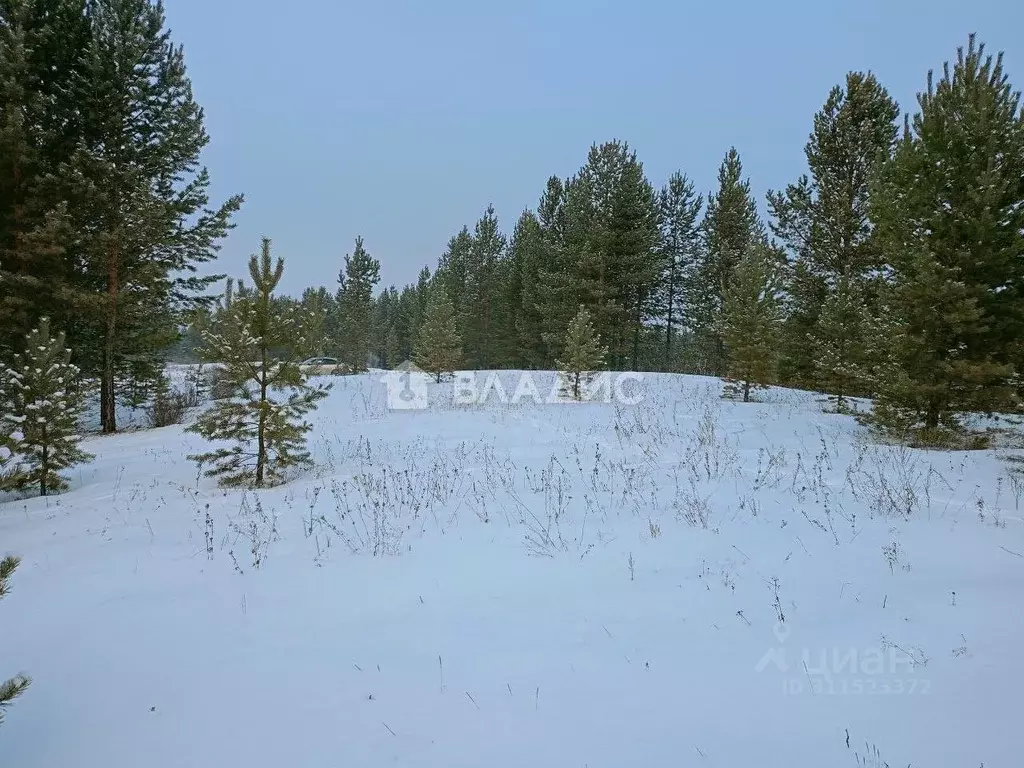 Участок в Бурятия, Тарбагатайский район, Заводское муниципальное ... - Фото 1