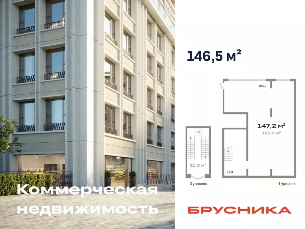 Помещение свободного назначения в Новосибирская область, Новосибирск ... - Фото 1