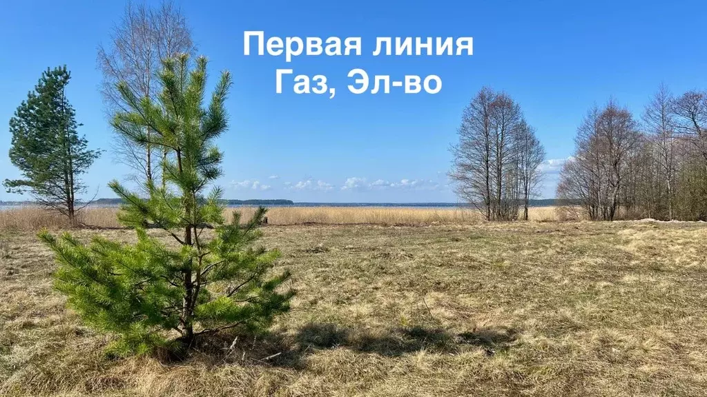 Участок в Тверская область, Осташковский муниципальный округ, д. ... - Фото 0