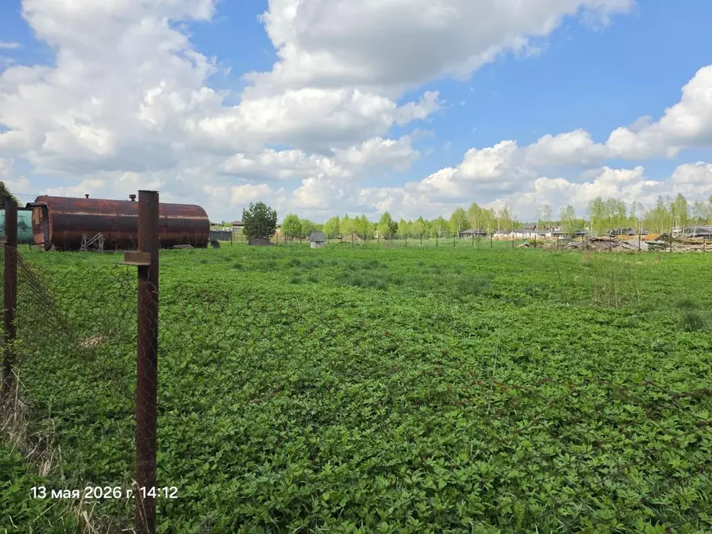 Участок в Московская область, Солнечногорск городской округ, д. ... - Фото 1