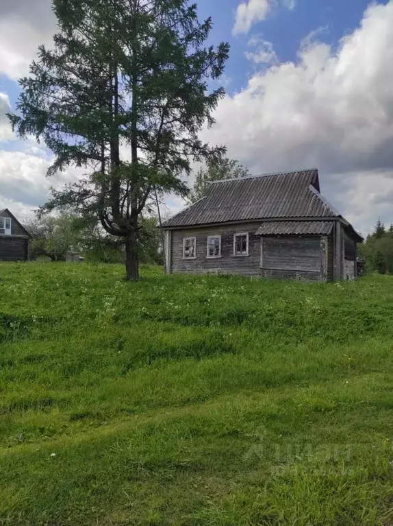 Участок в Новгородская область, Демянский муниципальный округ, д. ... - Фото 1