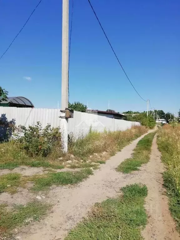 Участок в Белгородская область, Строитель Яковлевский городской округ, ... - Фото 1