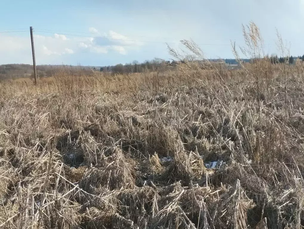 Участок в Вологодская область, пос. Заря  (15.0 сот.) - Фото 2